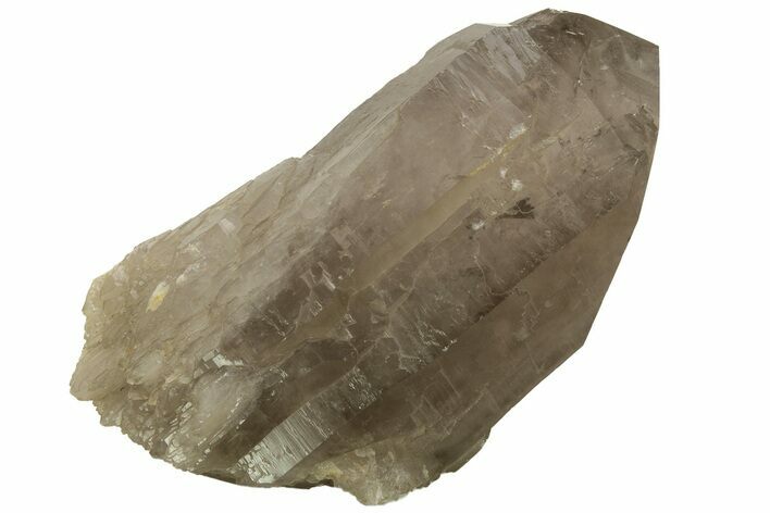 Massive, Natural Smoky Quartz Crystal - Brazil #219217